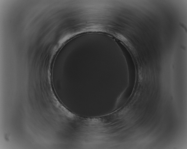 X0000101981334200807181116