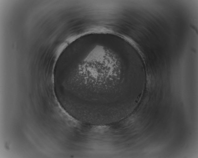 X0000101981335200807181116