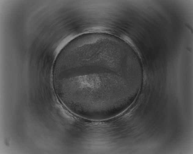 X0000101981336200807181116