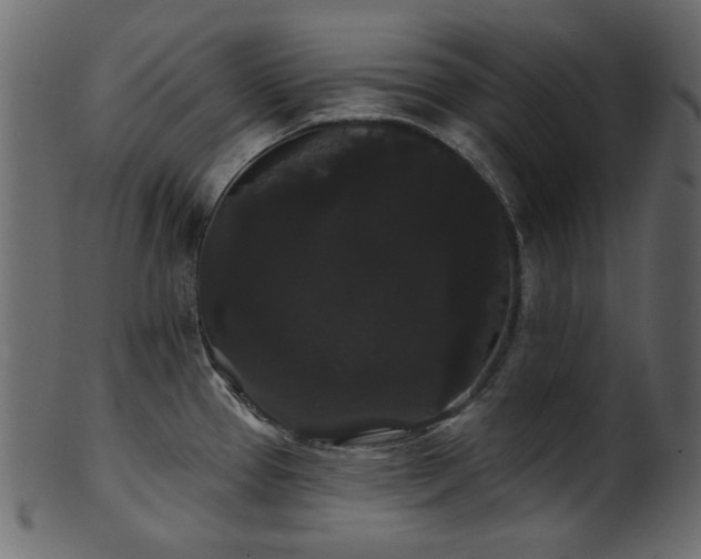 X0000101981337200807181116