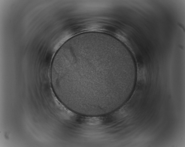 X0000101981338200807181116