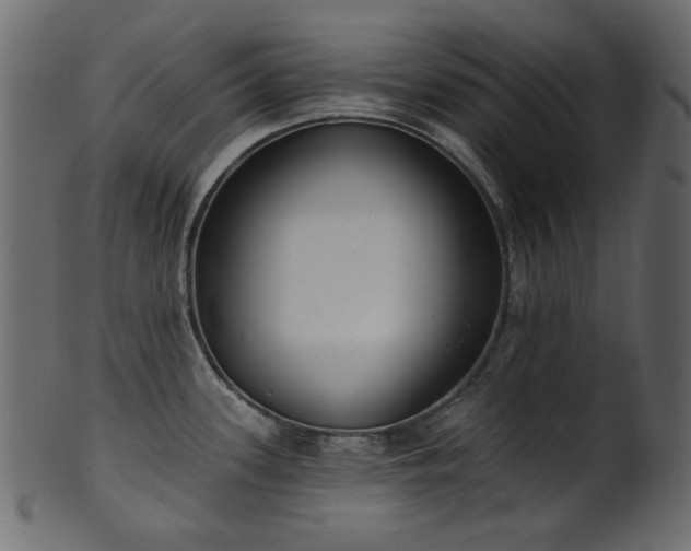 X0000101981339200807181116