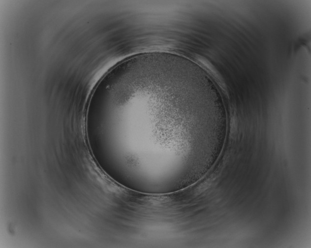 X0000101981340200807181116