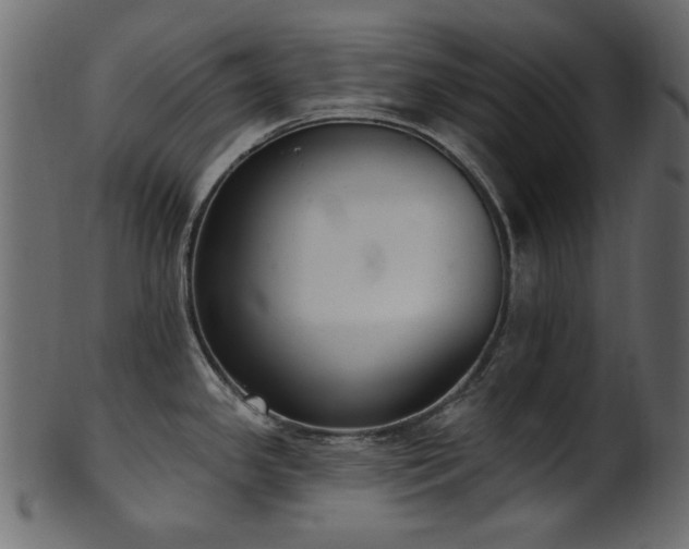 X0000101981341200807181116