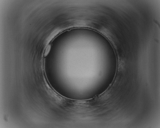 X0000101981342200807181116