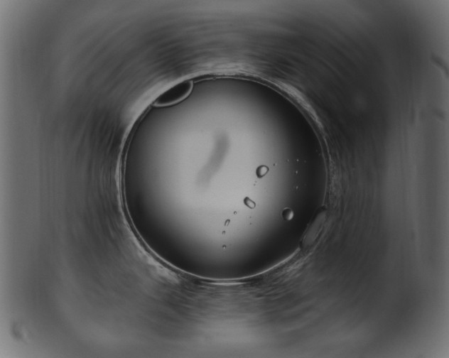 X0000101981343200807181116