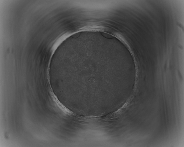 X0000101981344200807181116