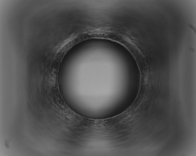 X0000101981350200807181115