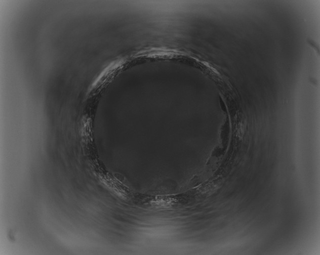 X0000101981351200807181115