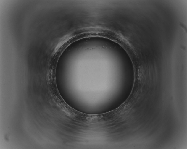 X0000101981352200807181115