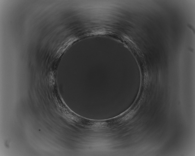 X0000101981353200807181115