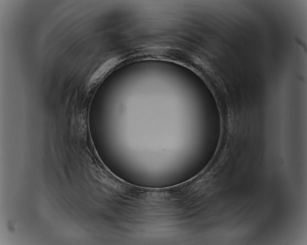 X0000101981354200807181115