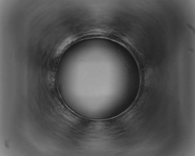 X0000101981355200807181115