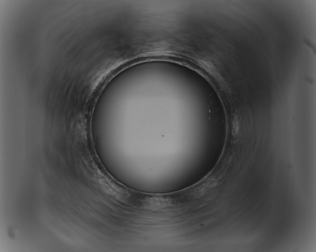 X0000101981356200807181115