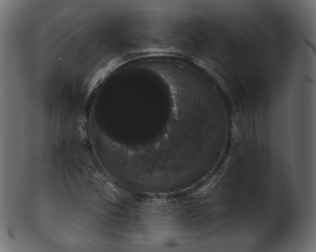 X0000101981357200807181115