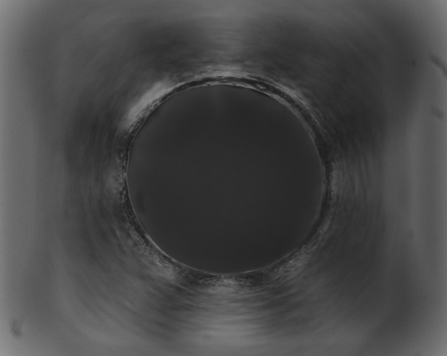 X0000101981359200807181115