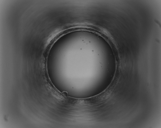 X0000101981360200807181115