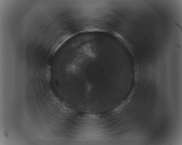 X0000101981361200807181115