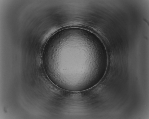 X0000101981363200807181115