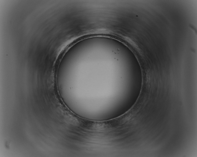 X0000101981364200807181115