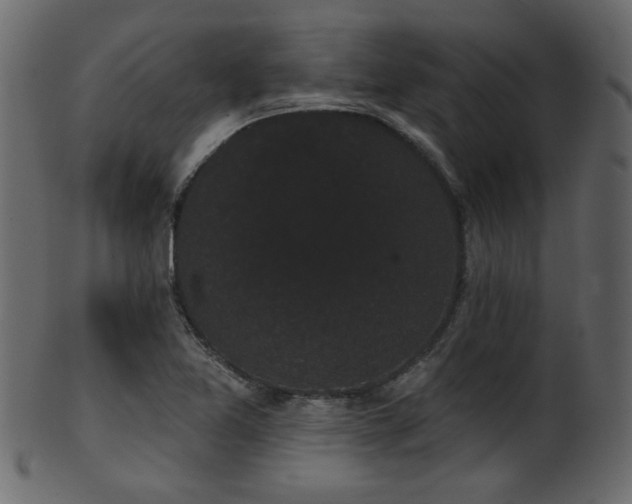 X0000101981365200807181115