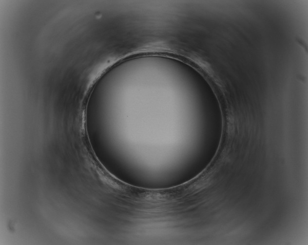 X0000101981366200807181115