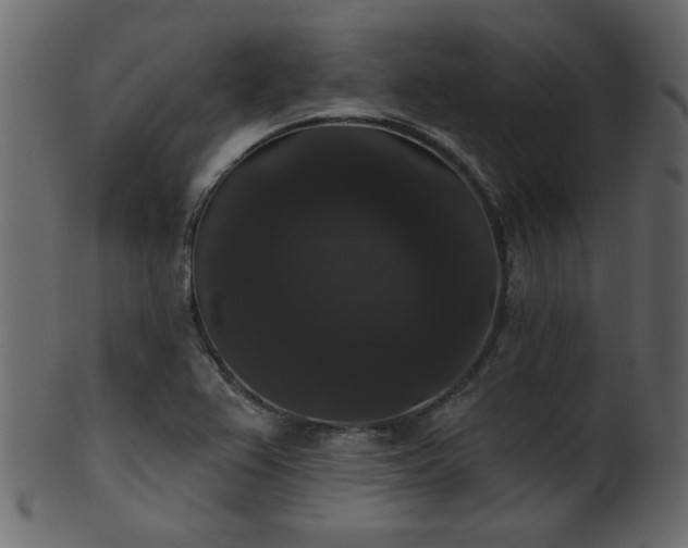 X0000101981367200807181115