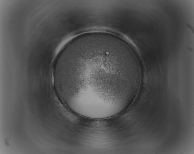 X0000101981368200807181115