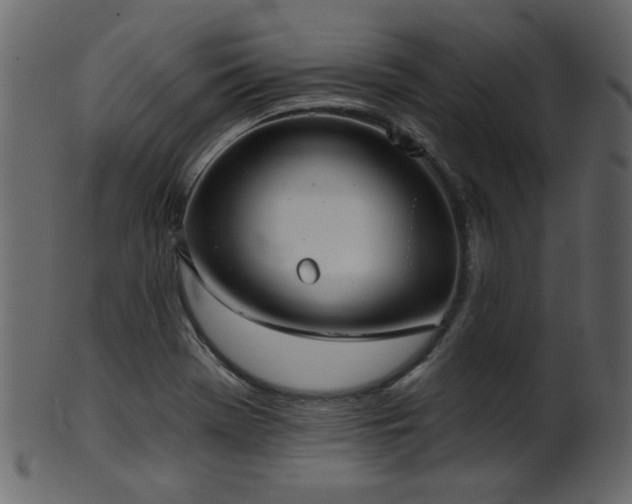 X0000101981369200807181115