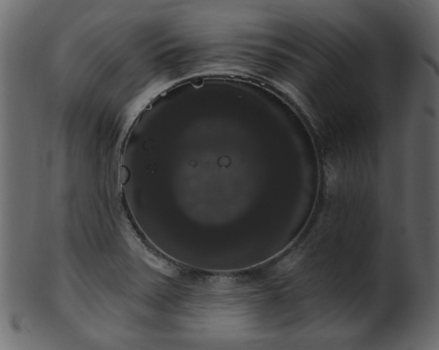 X0000101981371200807181115