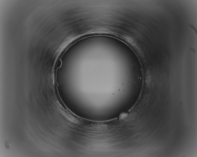 X0000101981372200807181115