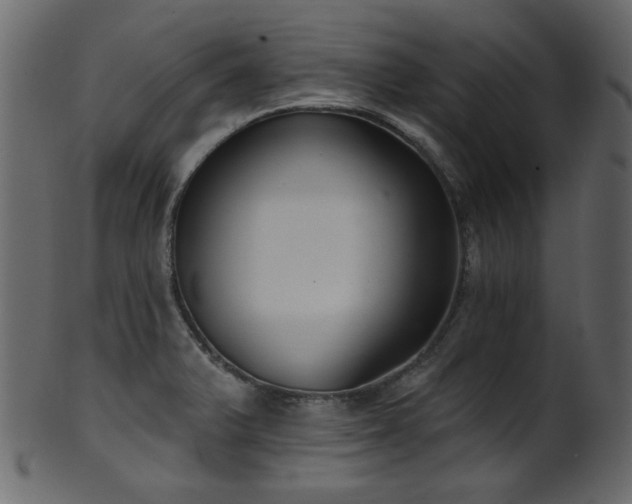 X0000101981375200807181115