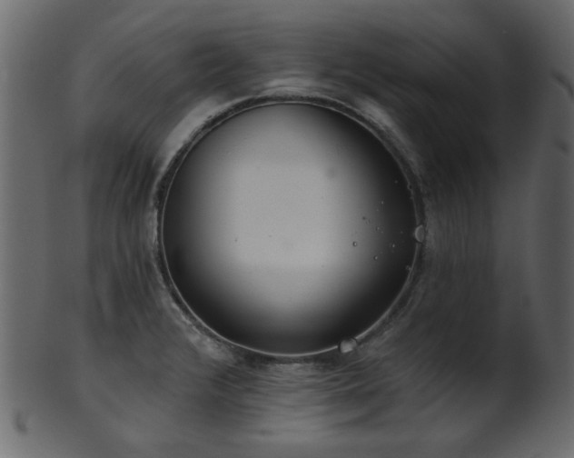 X0000101981376200807181115