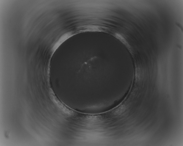 X0000101981378200807181115