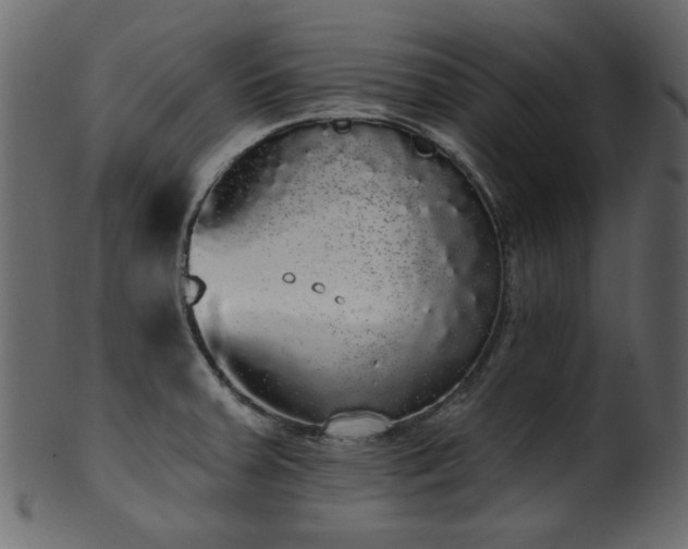 X0000101981379200807181115