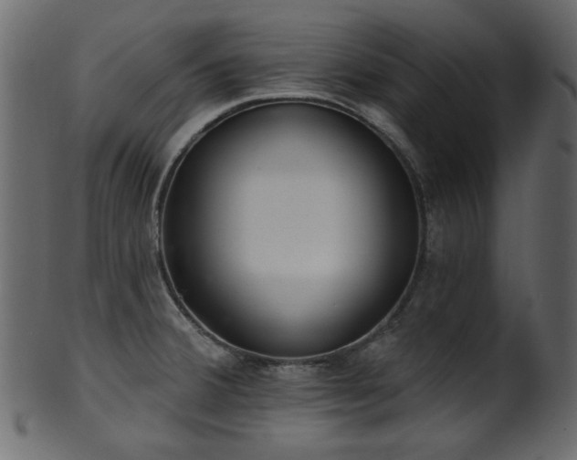 X0000101981380200807181115