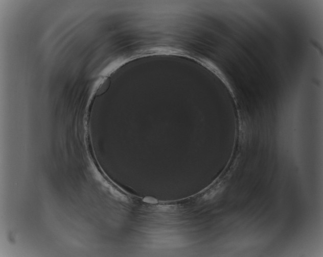 X0000101981381200807181115