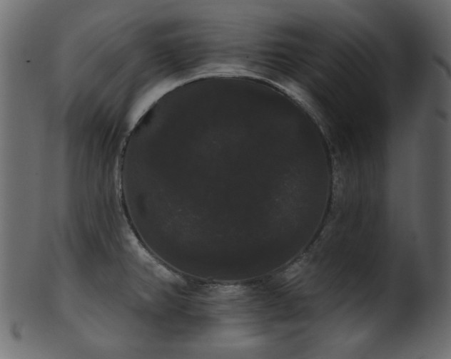 X0000101981382200807181115