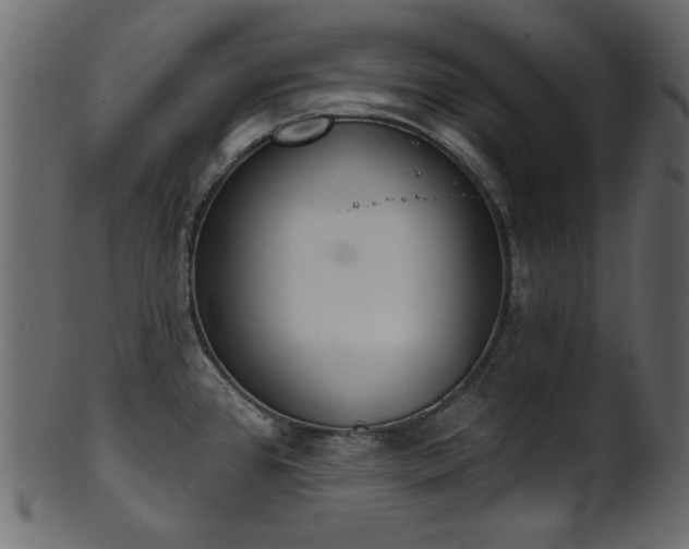 X0000101981384200807181115