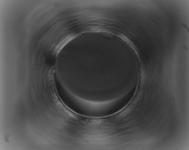 X0000101981385200807181115