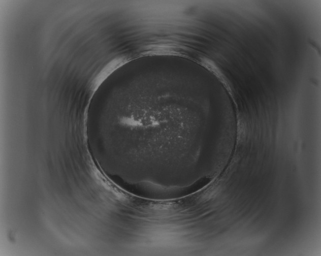 X0000101981386200807181115