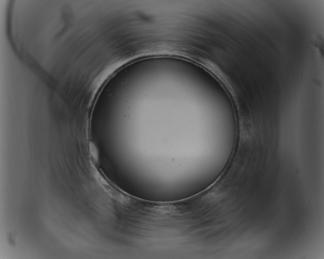 X0000101981388200807181115