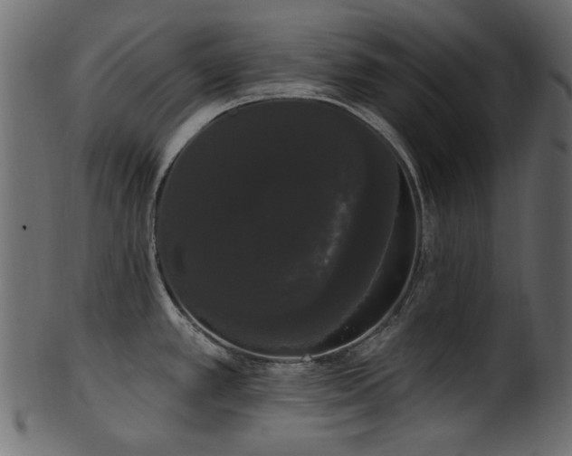 X0000101981389200807181115