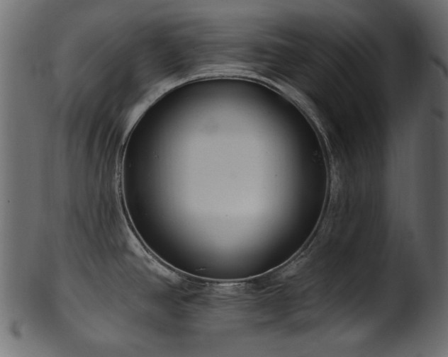 X0000101981390200807181115