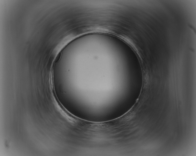 X0000101981391200807181115