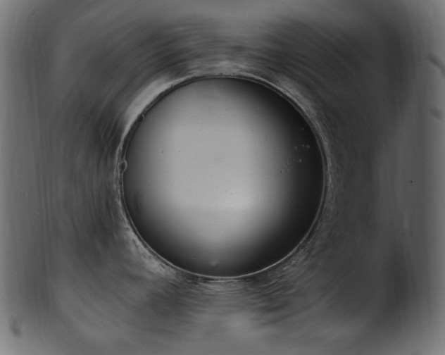 X0000101981392200807181115