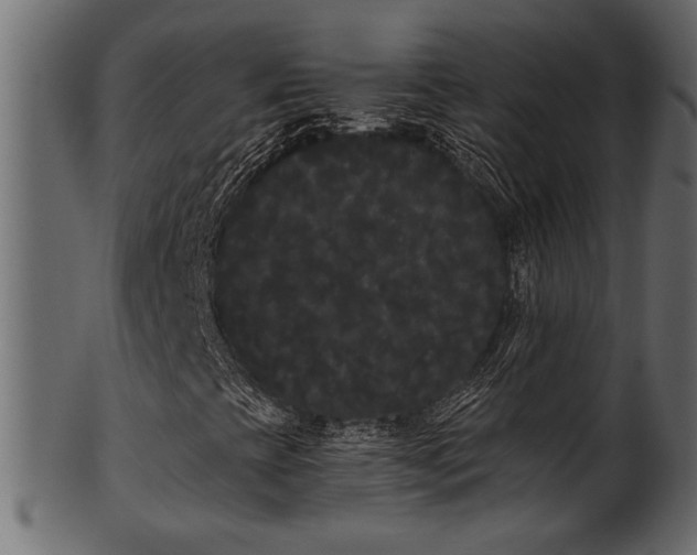 X0000101981393200807181114