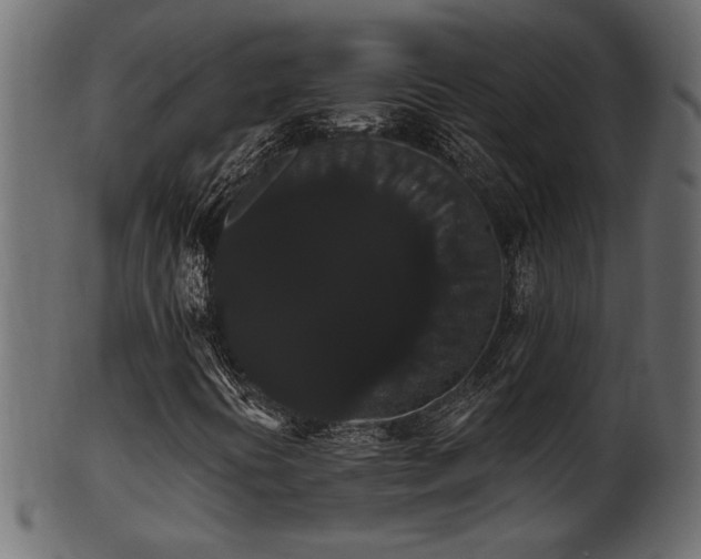 X0000101981394200807181114