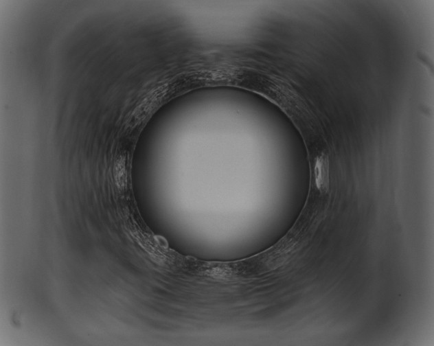 X0000101981395200807181114