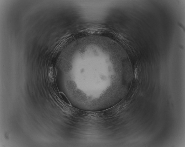 X0000101981396200807181114